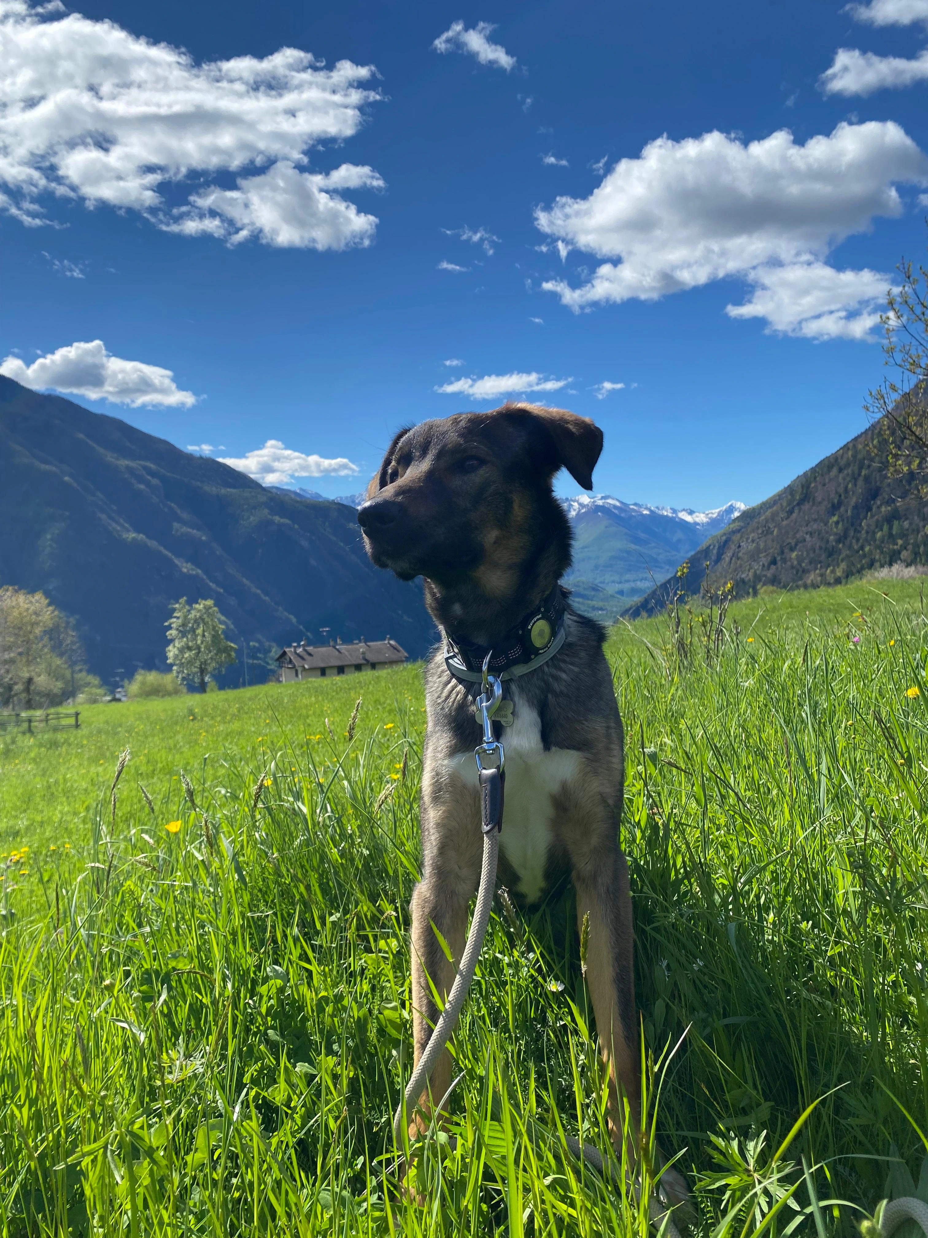 Settimana in Sardegna: Costa e Entroterra