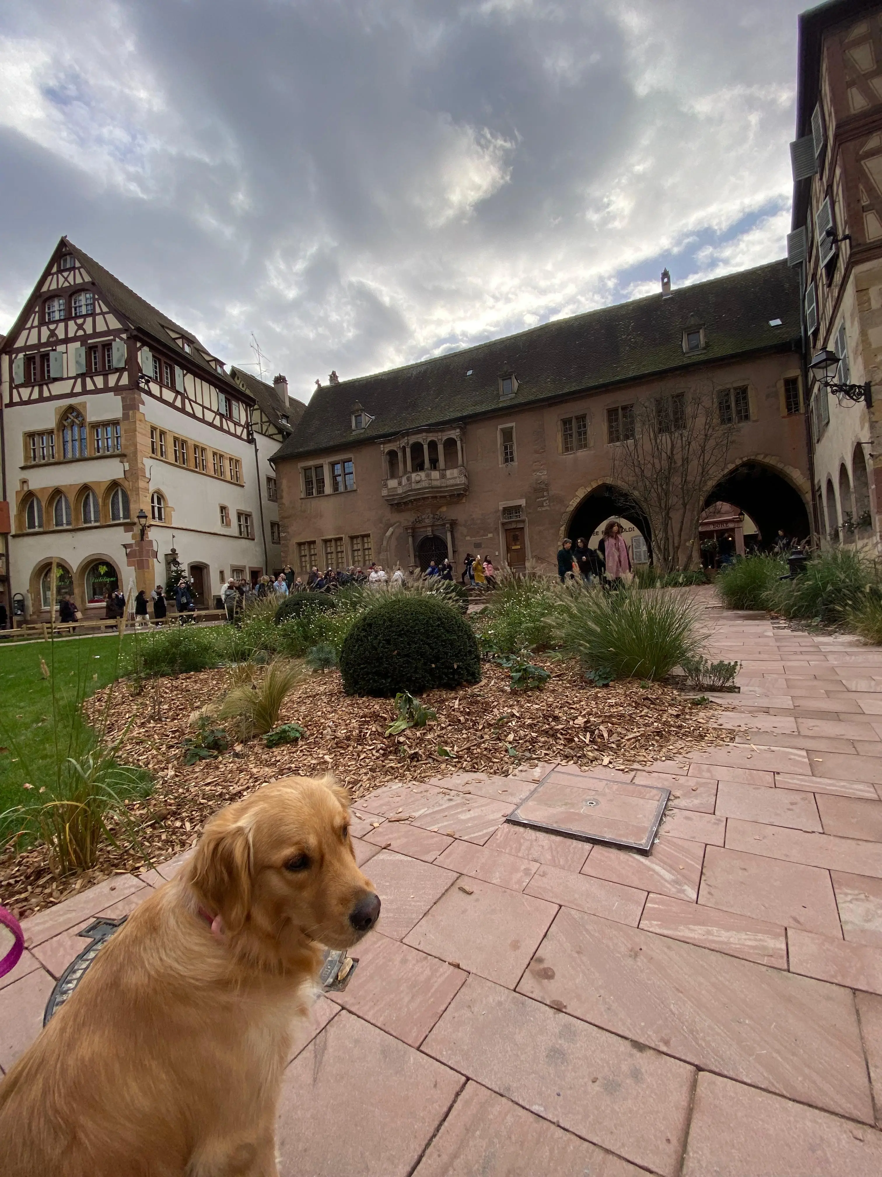 TEST EMAIL - Viaggio nelle Dolomiti