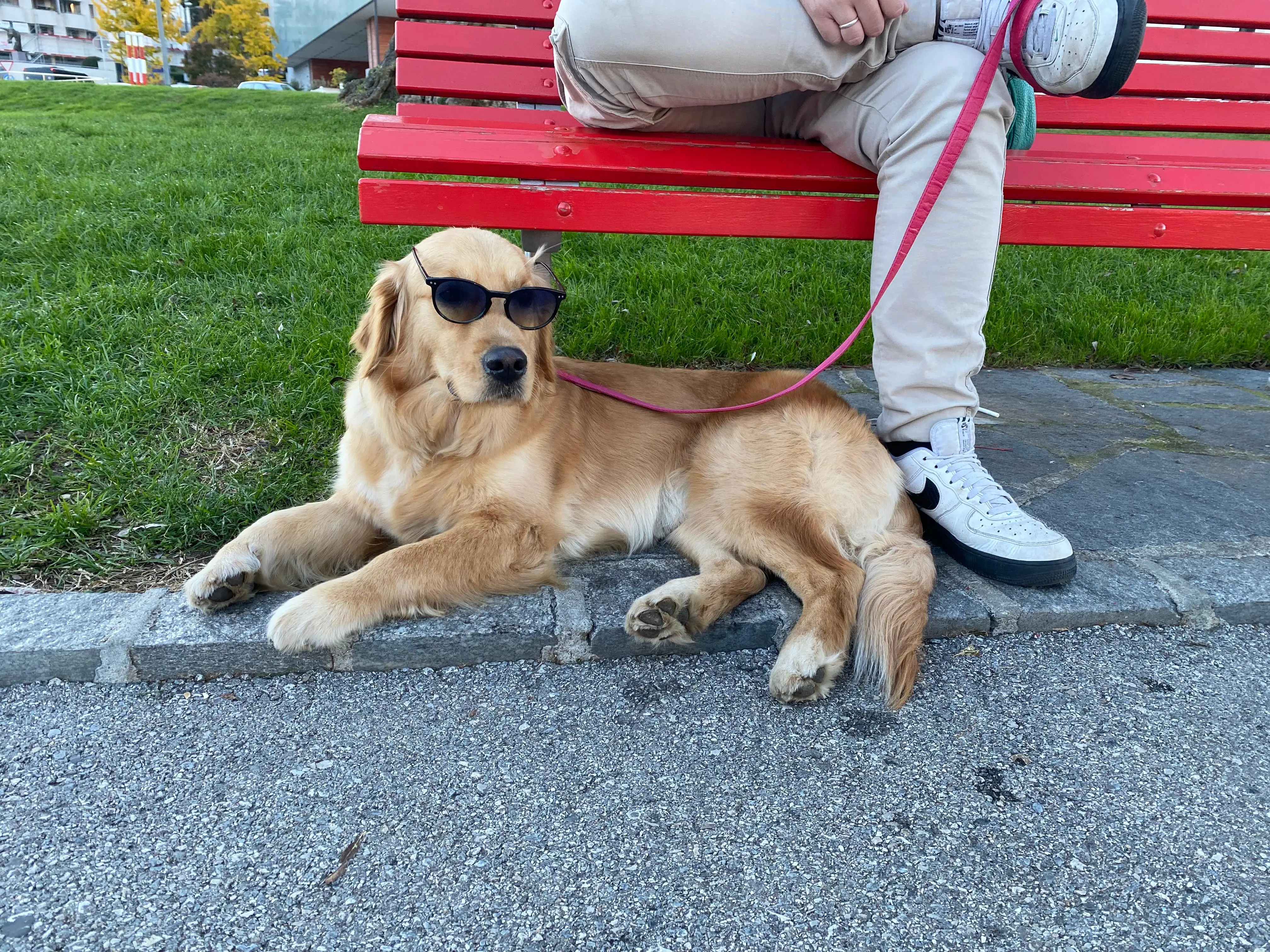 TEST FIX - Trip in corso